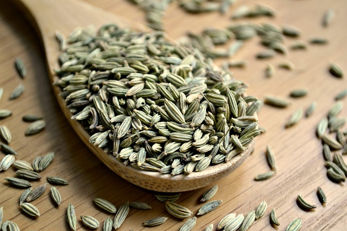 What is a Fennel Seed? Benefits & How to Use Them